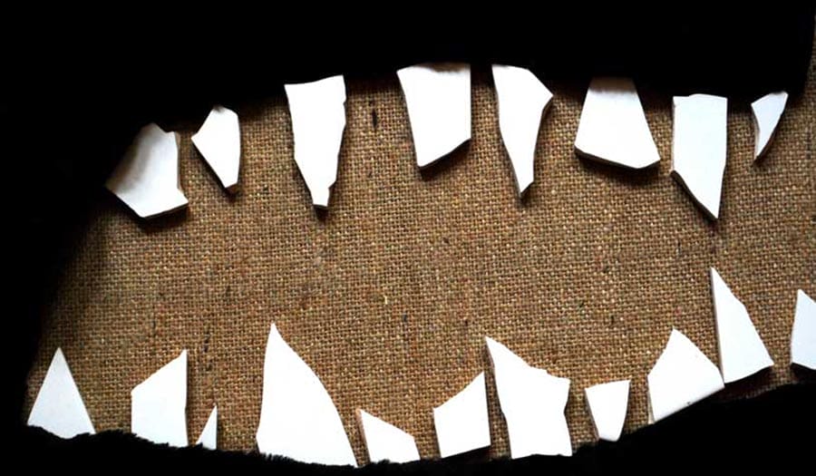 spectacle a pas de loup